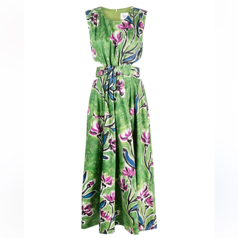 AJE Women’s Zorina Tie Mini Dress in Gumnut Floral